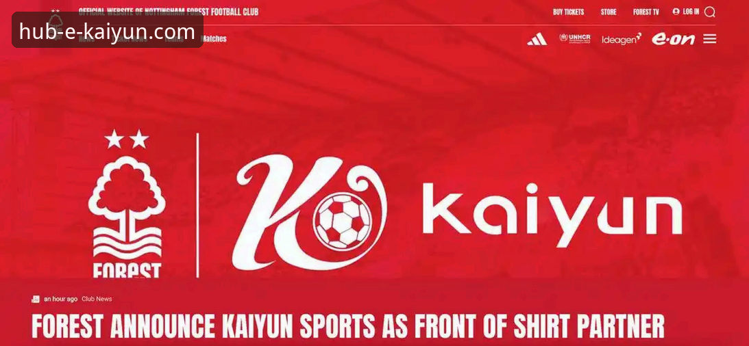 资深分析师解读:开云体育平台如何实现卓越的流畅体验